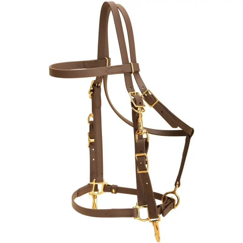 Tory Leather All Weather Combo Bridle 1