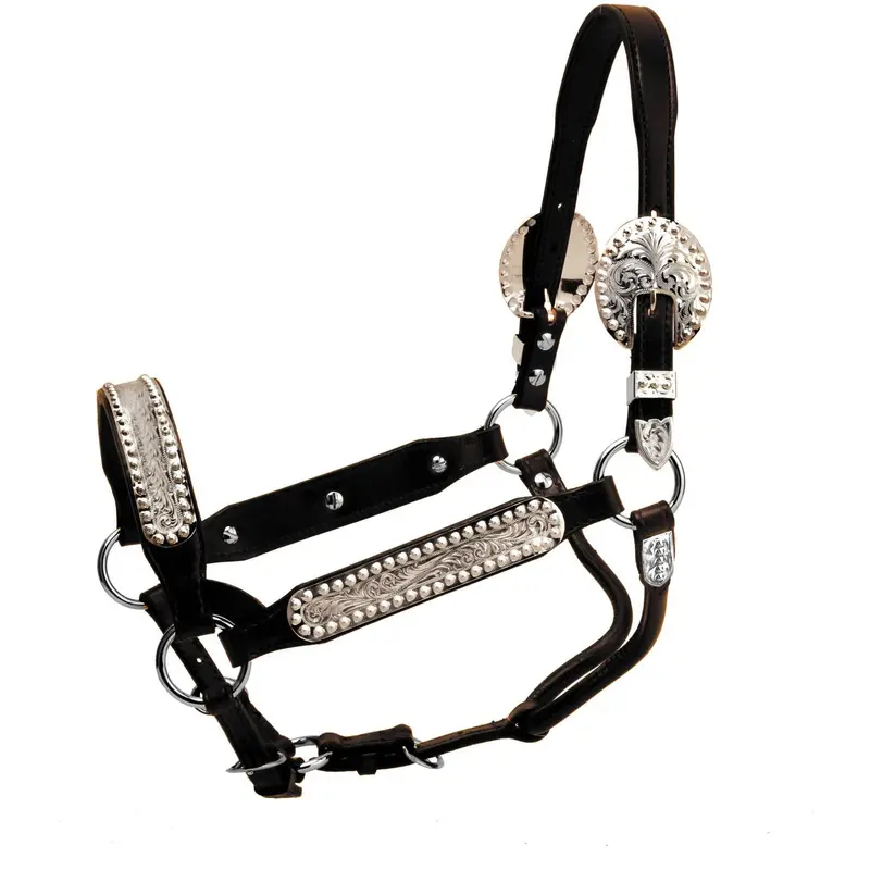 Tory Leather Buffalo Congress Show Halter 1