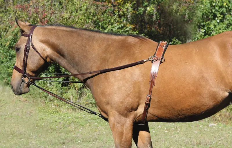 Tory Leather Deluxe Vienna Side Reins 1