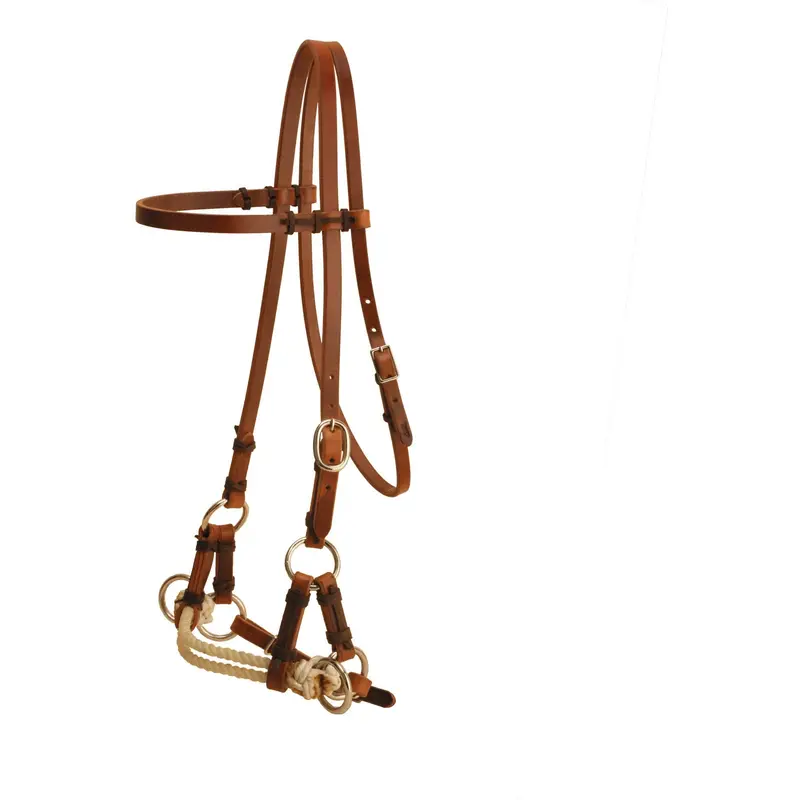 Tory Leather Double Nose Side Pull 1