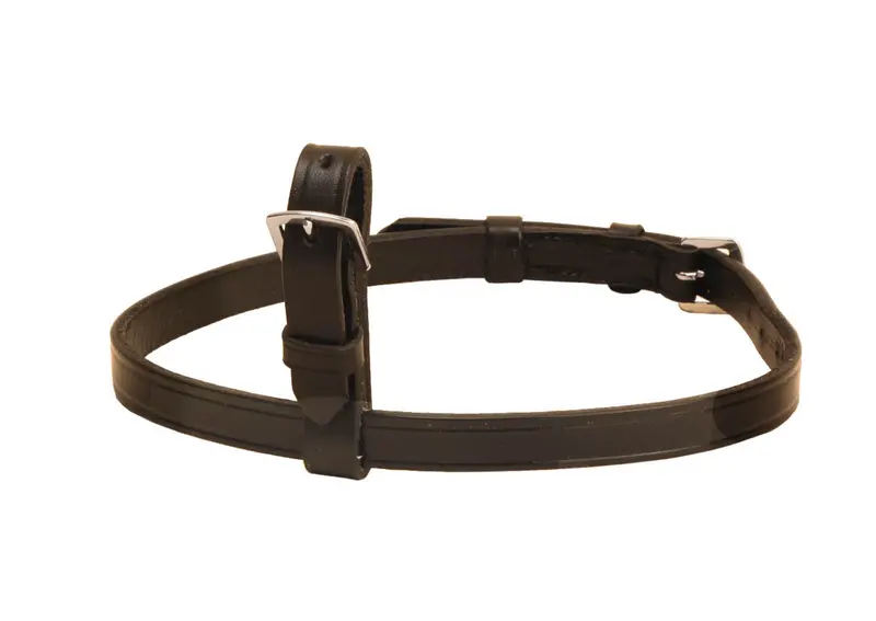 Tory Leather Flash Attachment With Stainless Steel Buckles 1