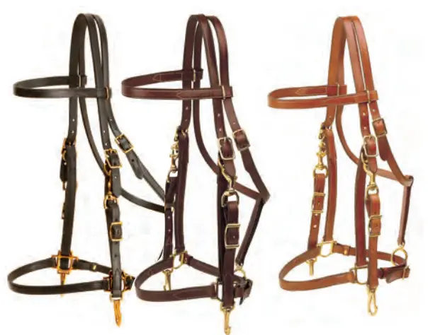 Tory Leather Halter/Bridle Combo 1