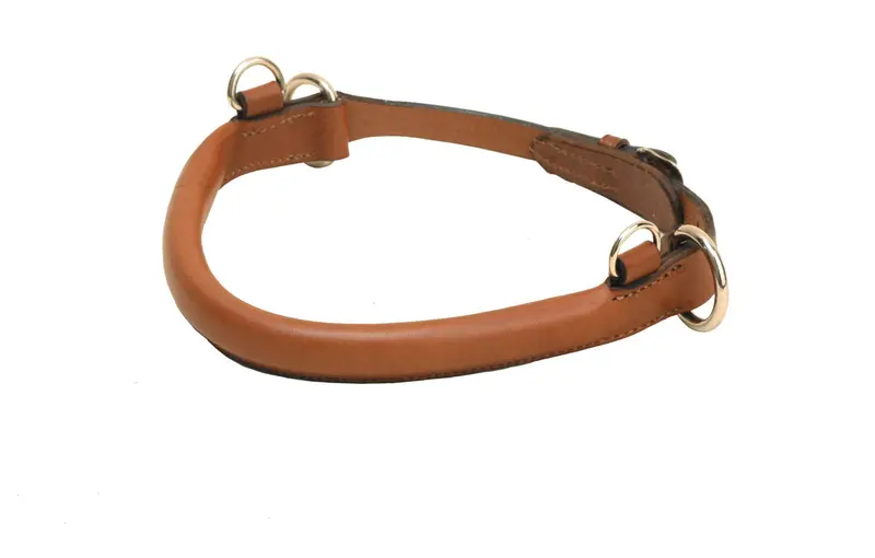 Tory Leather Jump Hackamore 3