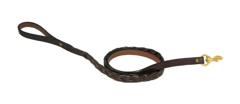 Tory Leather Laced Dog Lead 1