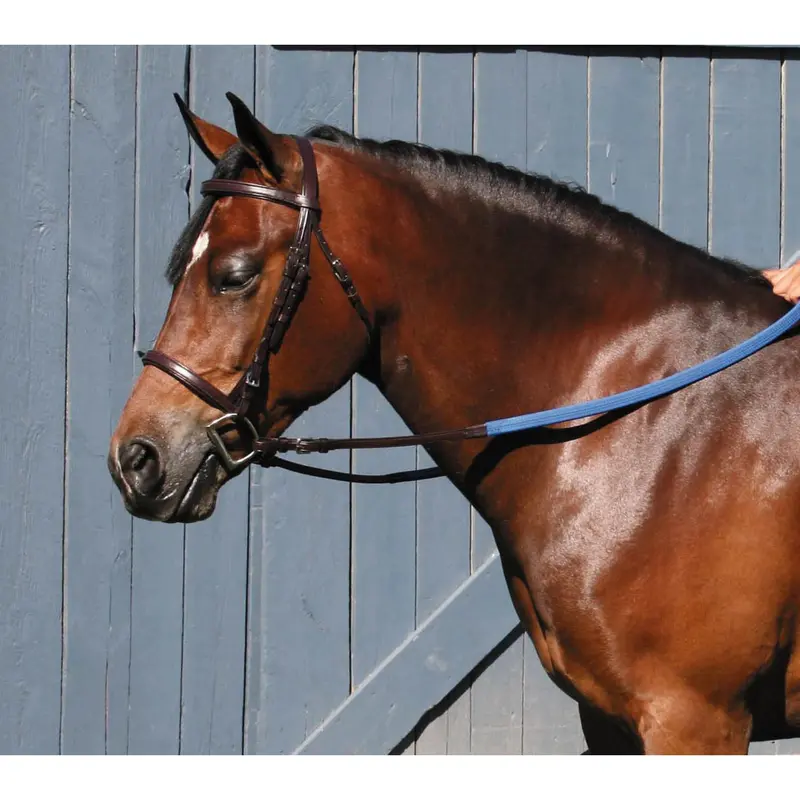 Tory Leather Padded Bridle With Buckle Bit Ends 1