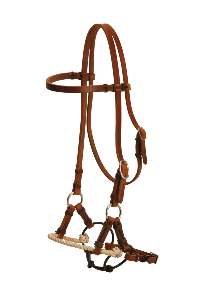 Tory Leather Single Nose Side Pull With Bit 1