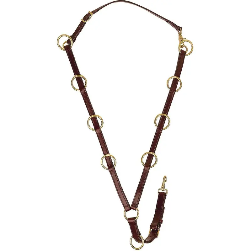 Tory Leather Ten Ring Martingale 1