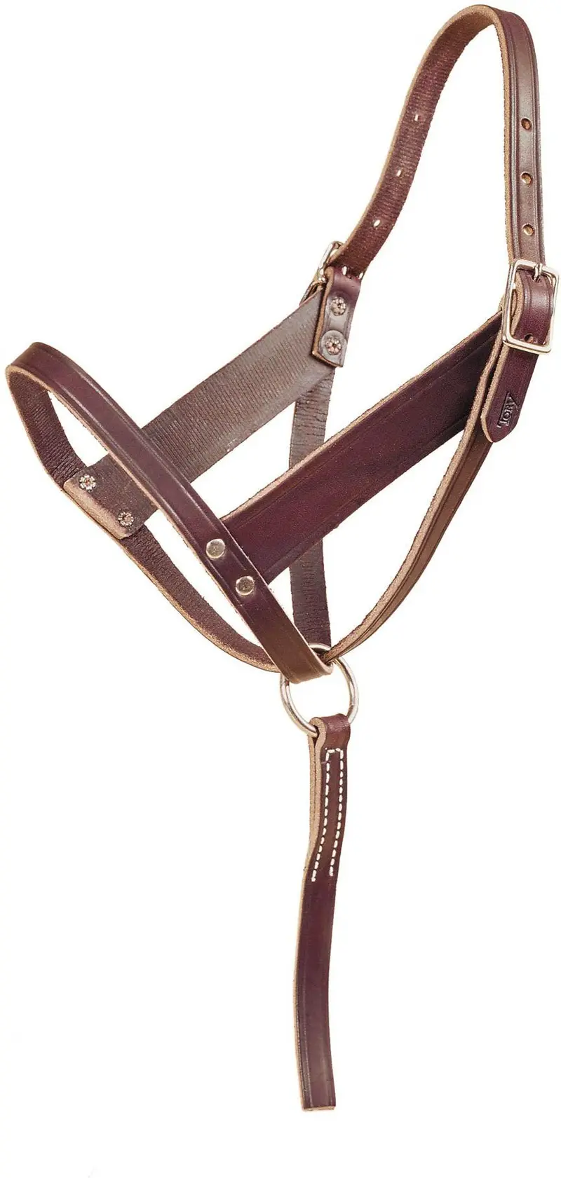 Tory Leather Wide Cheek Slip Foal Halter 1