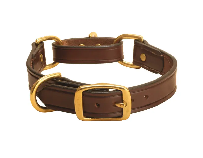 Tory Martingale Control Dog Collar 2