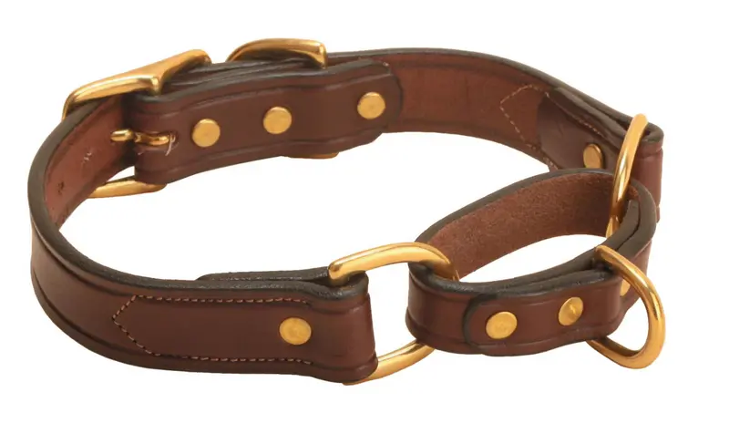 Tory Martingale Control Dog Collar 3