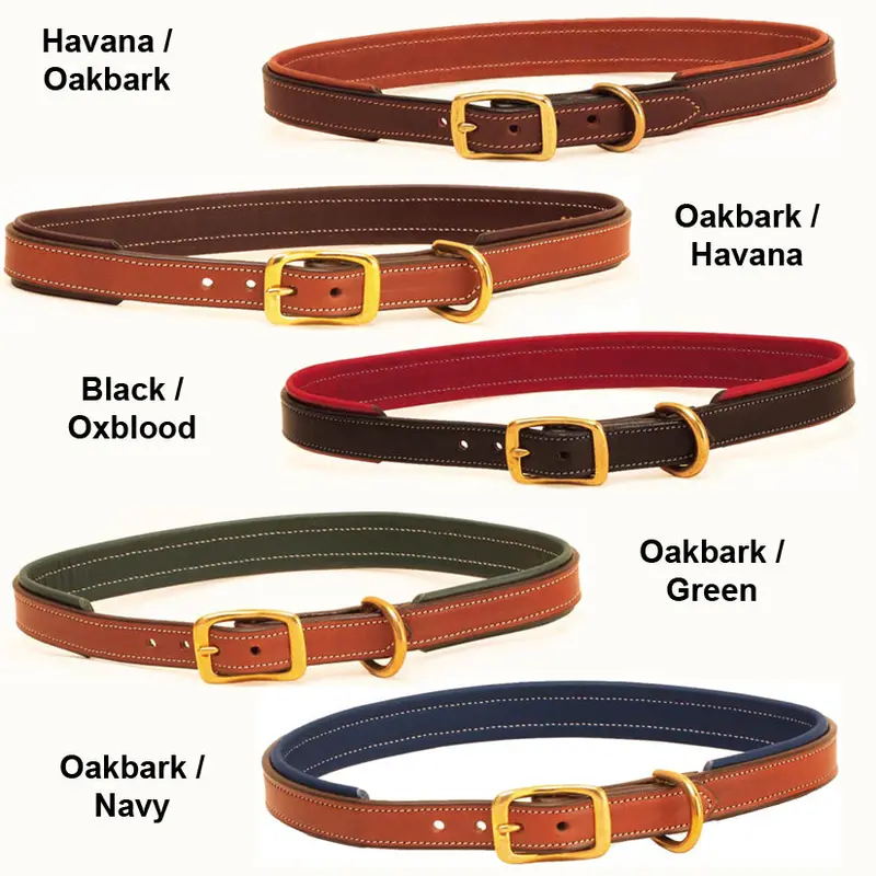 Tory Padded Dog Collar 1