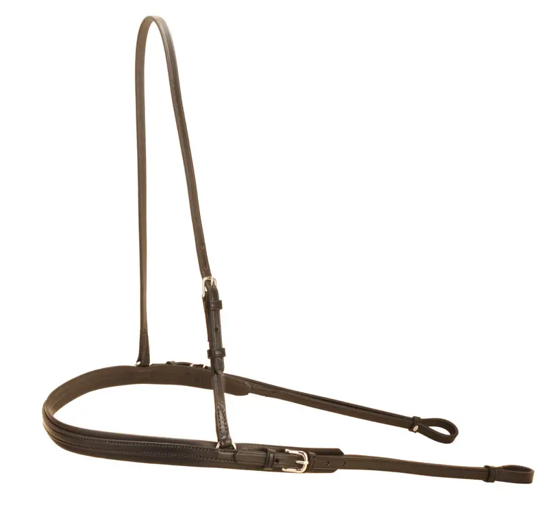 Tory Polo Breastplate 2