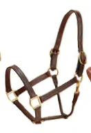 Tory Traditional 1" Deluxe Halter With Fixed Nose 1