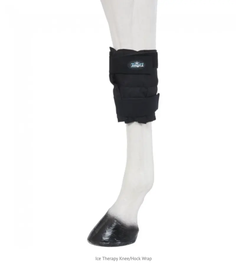 Tough1 Ice Therapy Wrap Knee/Hock Wrap 1