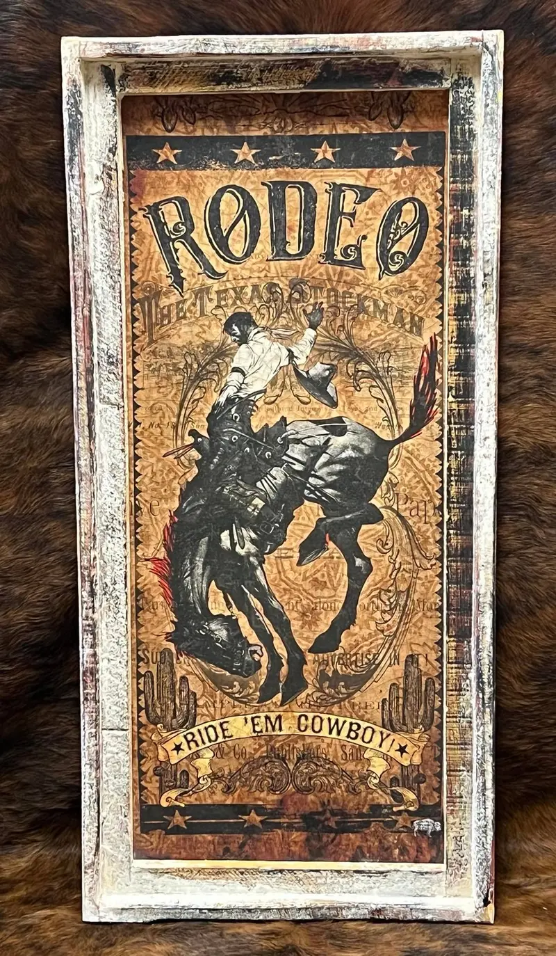 Troublemaker Ride Em Cowboy Canvas 1