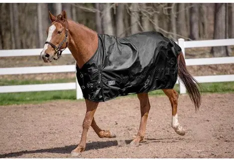 Tuffrider Black 600 D Comfy Standard Neck Winter Turnout Sheet 1