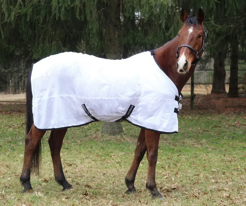 Tuffrider Comfy Mesh Fly Sheet 2