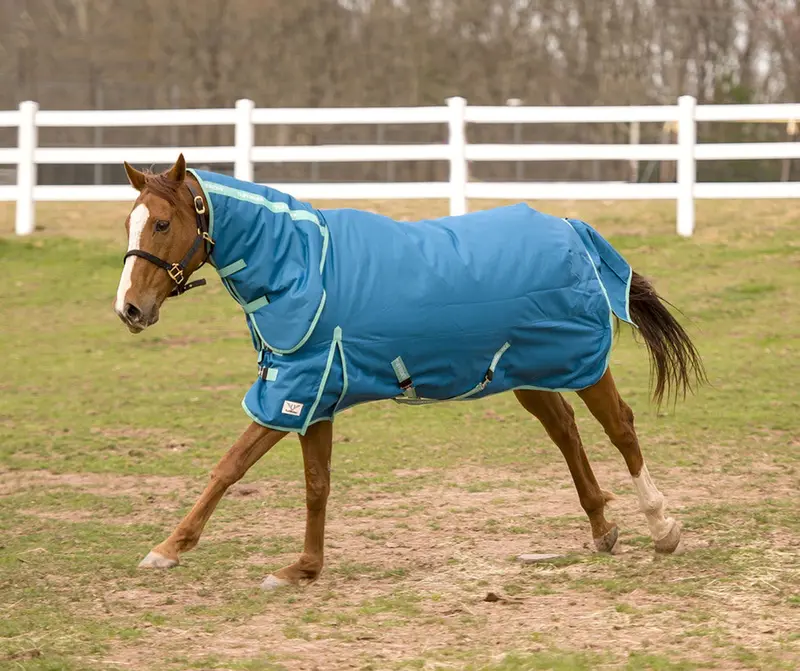Tuffrider Ecorider 1200 D Medium Weight Turnout Blanket W/Combo Neck 250Gsm 1