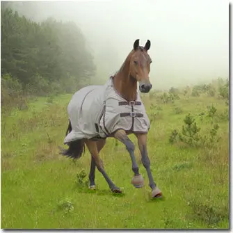 Turtleneck Mud Turtle Lightweight Turnout Sheet 1