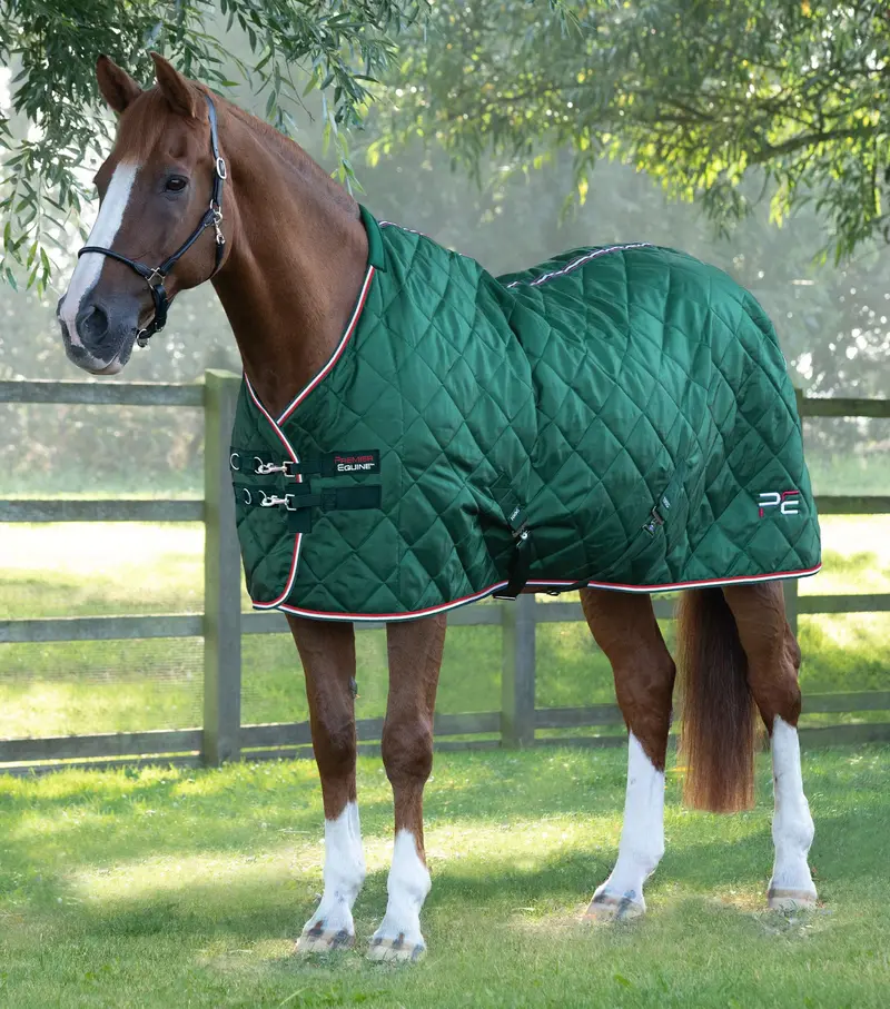 Tuscan Stable Rug 100G Green 1