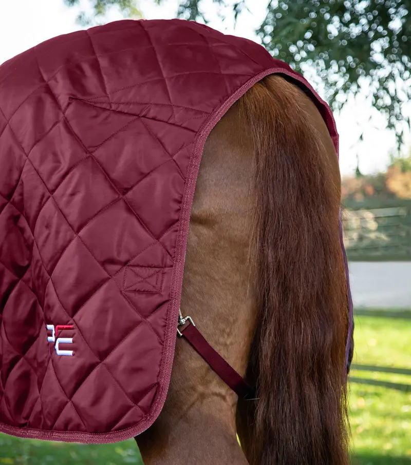 Tuscan Stable Rug 200G Burgundy 6