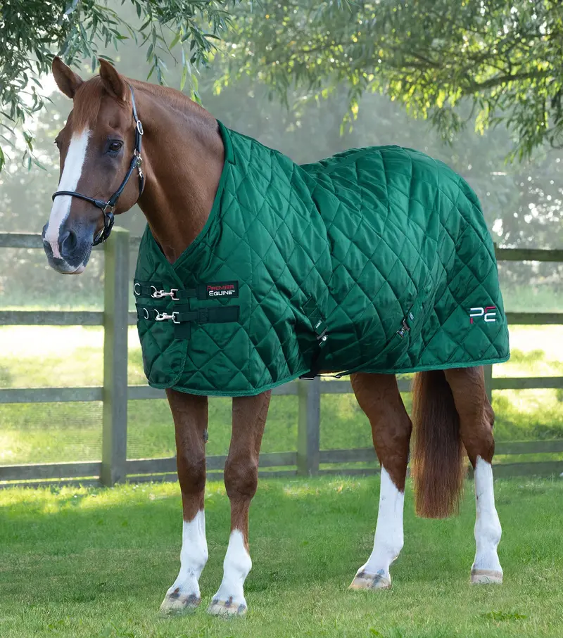 Tuscan Stable Rug 200G Green 1