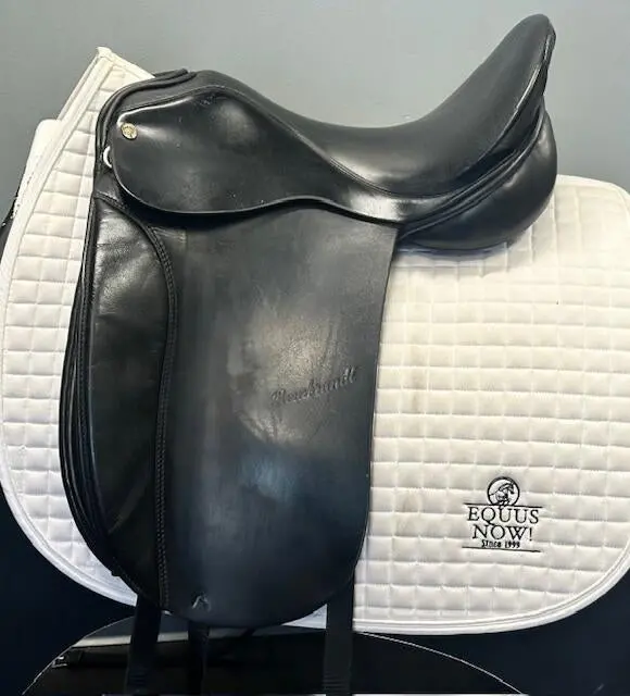 Used Rembrandt Vanguard Dressage Saddle 17" M/N Tree (Adjustable) 1