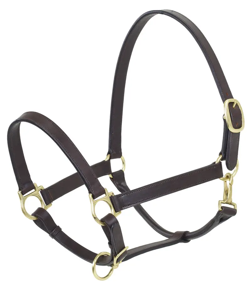 Value Leather Halter 1