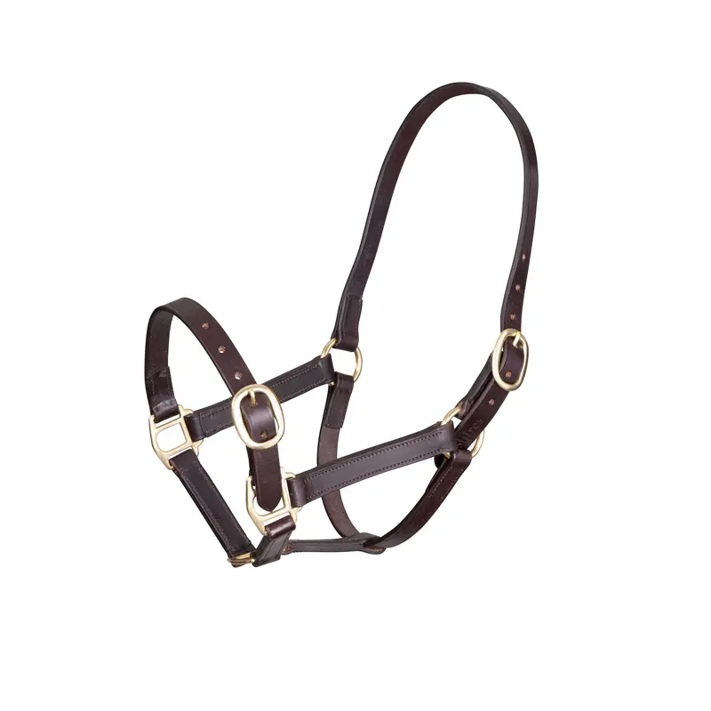 Velociti Gara Adjustable Leather Halter