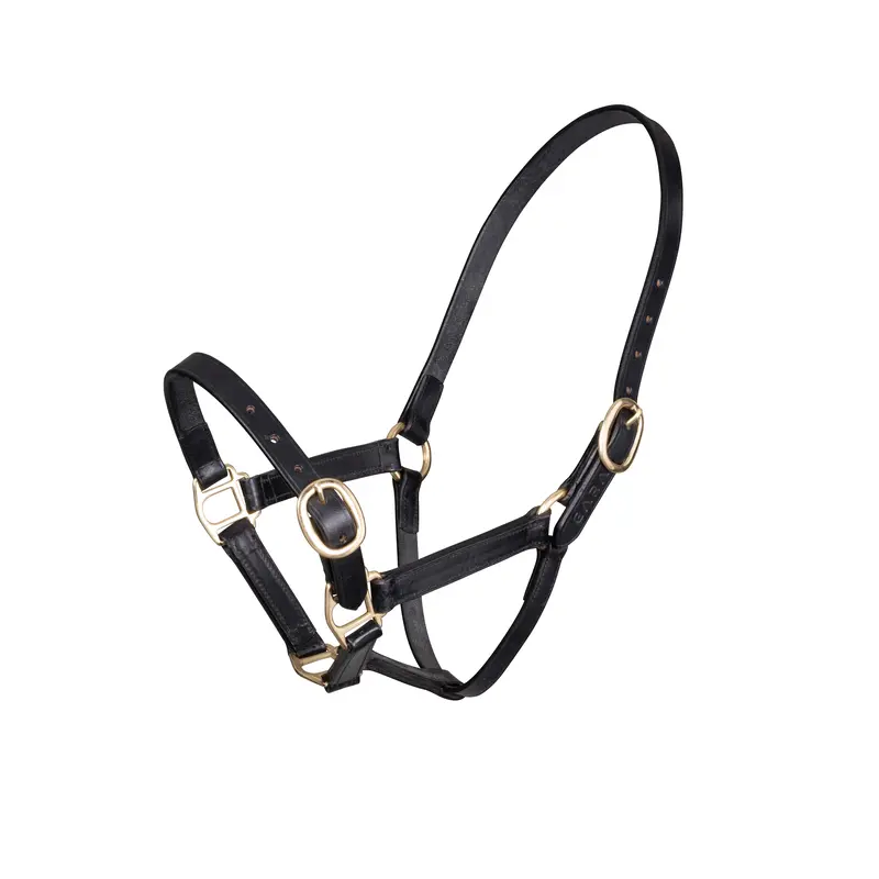 Velociti Gara Adjustable Leather Halter 3