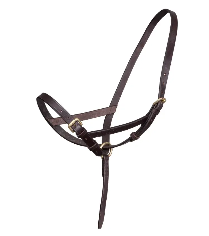 Velociti Gara Leather Foal Slip Halter 1
