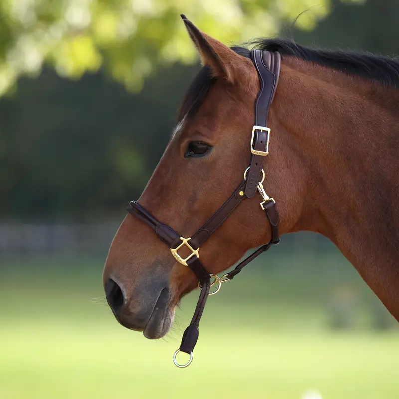 Velociti Lusso Soria Control Leather Headcollar 1