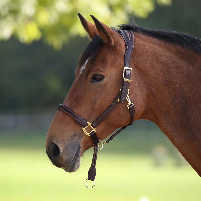 Velociti Lusso Soria Control Leather Headcollar 3