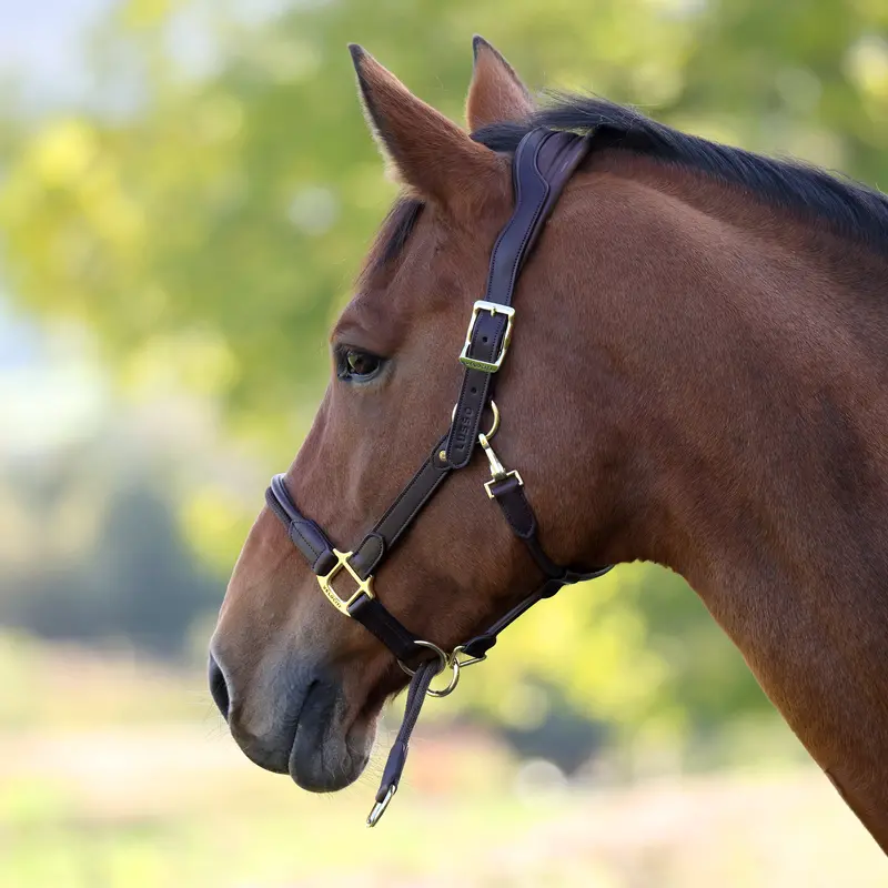 Velociti Lusso Soria Control Leather Headcollar 4