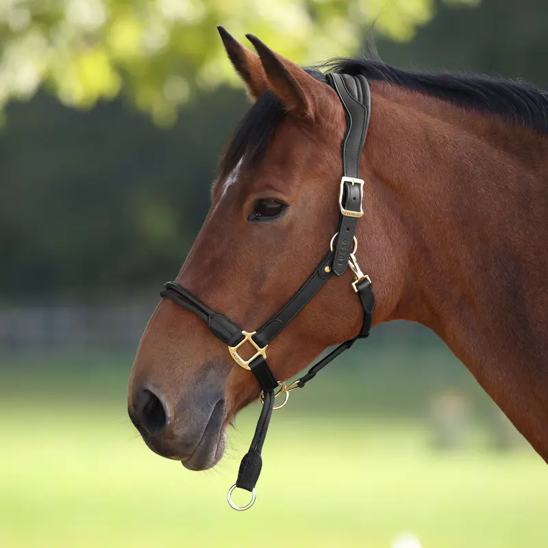Velociti Lusso Soria Control Leather Headcollar 6