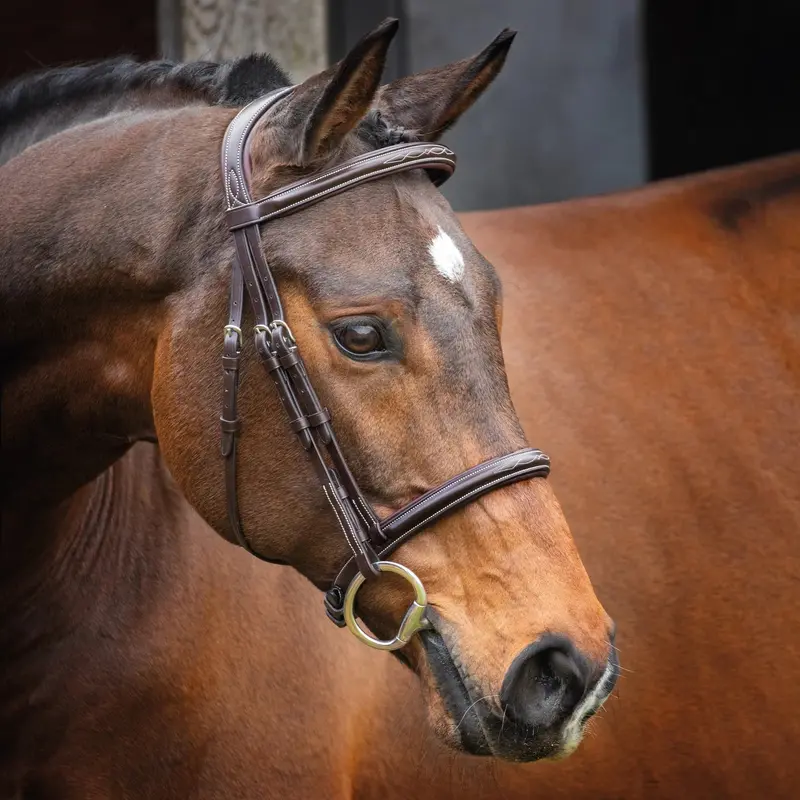 Velociti Pro Series Lusso Hunter Bridle 1