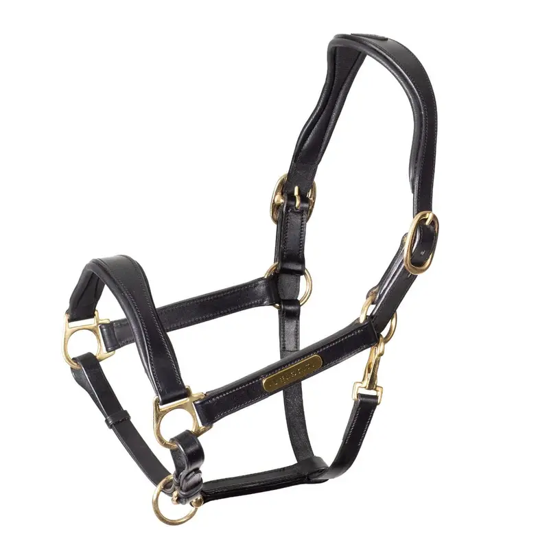 Velociti Rapida Cushioned Leather Halter 1