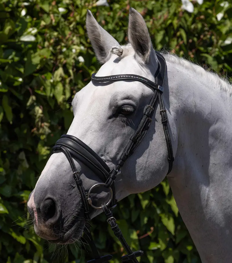Veneto Anatomical Snaffle Bridle Black 1