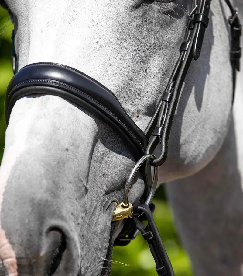 Verdura Anatomic Cavesson Noseband Black 2