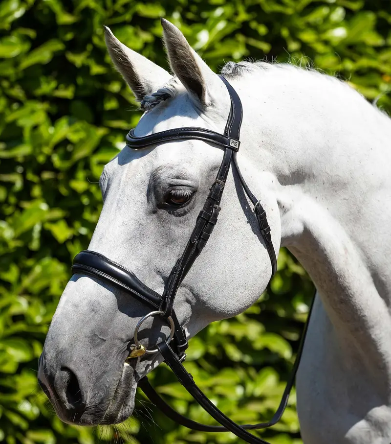 Verdura Anatomic Snaffle Bridle Black 1
