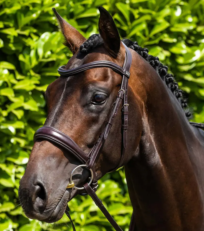Verdura Anatomic Snaffle Bridle Brown 1