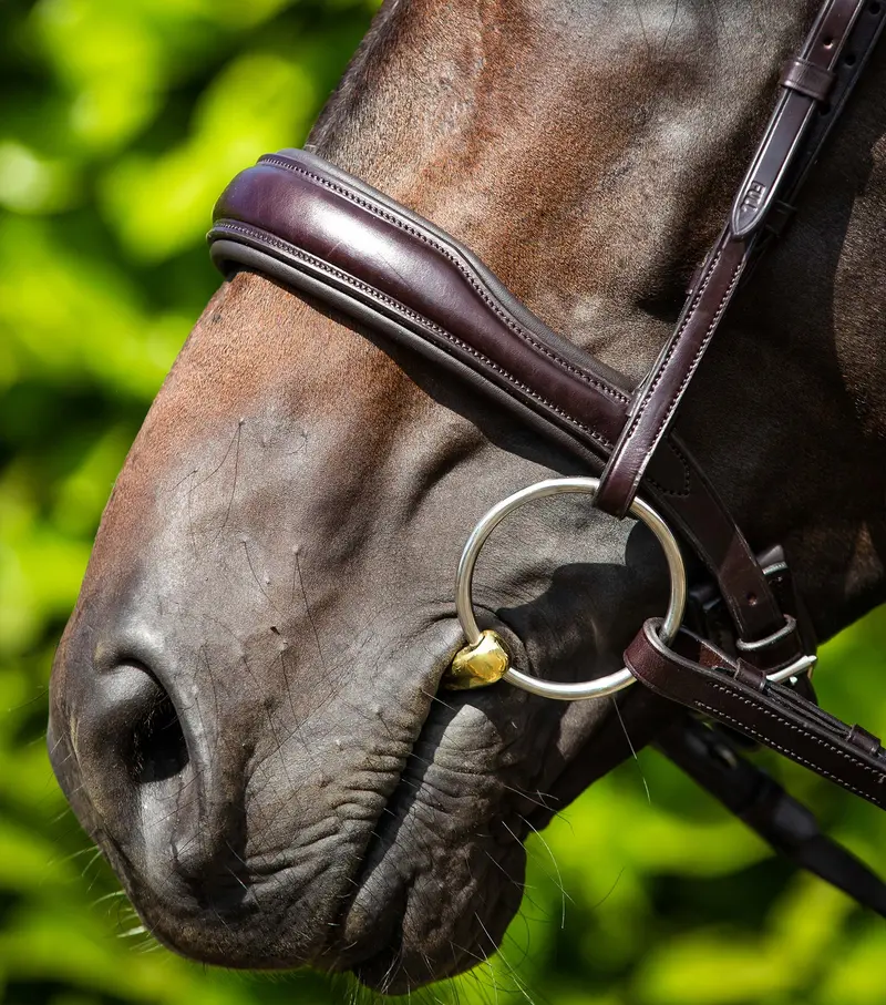 Verdura Anatomic Snaffle Bridle Brown 2