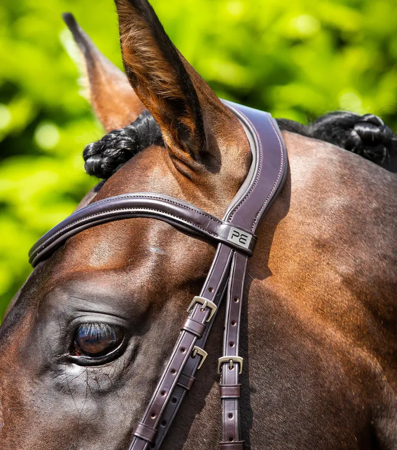 Verdura Anatomic Snaffle Bridle Brown 3