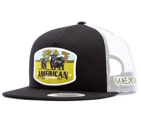 Vexil Angus Cow Calf American Rancher Black And White Hat 1