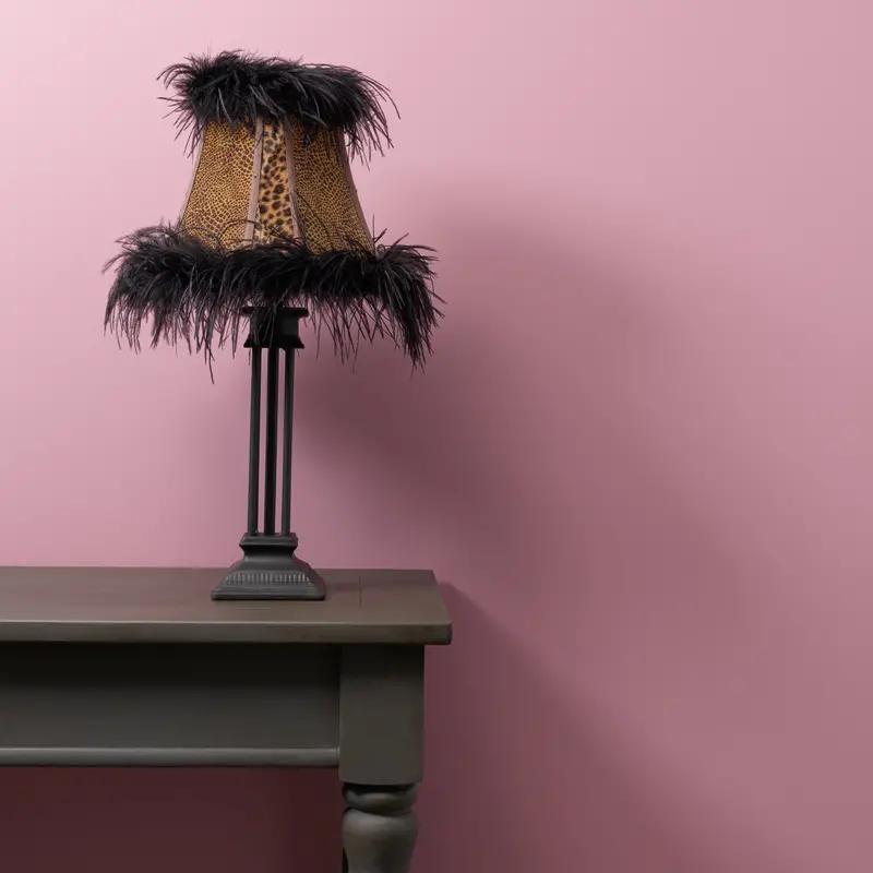 Vintage Rosie Wall Paint 2