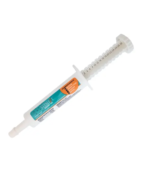 Vitalize Equine Recovery Gel 1