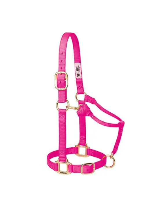 Weanling/Pony Nylon Halter 1