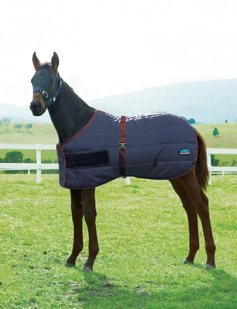 Weaterbeeta 420D Foal Standard Neck Medium 1