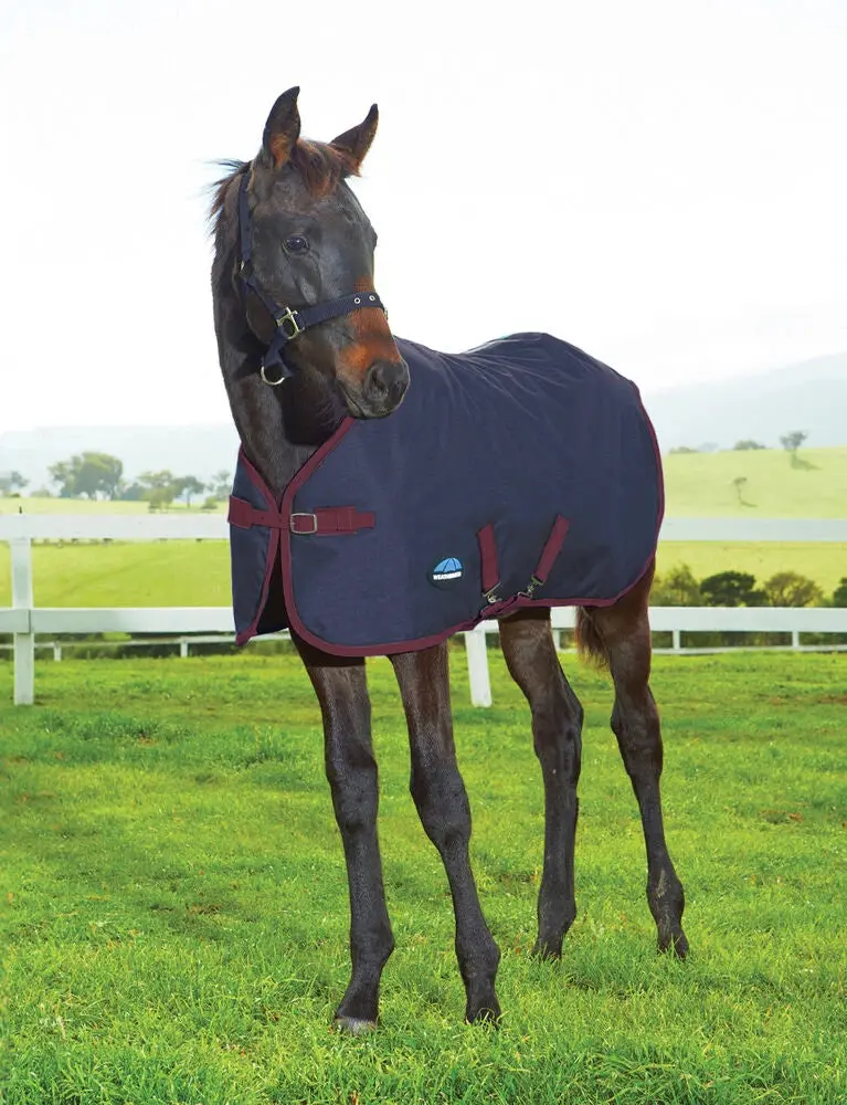 Weatherbeeta 1200D Foal Turnout Standard Neck 1