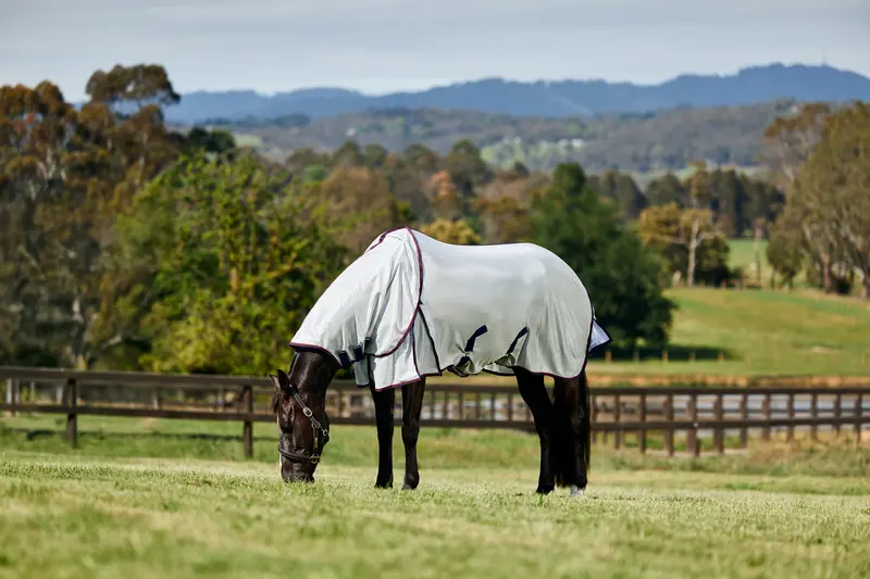 Weatherbeeta Comfitec Airflow Fly Sheet Detach-A-Neck 2